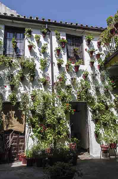Córdoba 181 - barrio san Basilio - Patios del Alcazar Viejo - calle San Basilio 14.jpg
